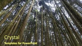  Presentation with recreation - PPT theme with sunlight-over-the-green-forest background and a tawny brown colored foreground