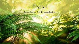  Presentation with fern - Amazing presentation design having sunlight rays pour through fern backdrop and a yellow colored foreground