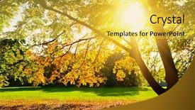  Presentation with season - Colorful theme enhanced with sunlighted yellow autumn tree backdrop and a yellow colored foreground