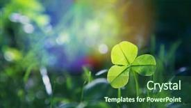  Presentation with clover - Amazing presentation theme having sunlit spring clover leaf backdrop and a forest green colored foreground