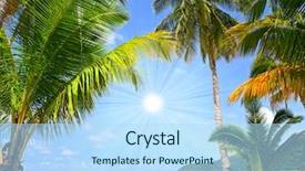  Presentation with beach palm tree wedding - Cool new presentation theme with sunny beach and palm tree backdrop and a light blue colored foreground