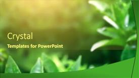  Presentation with blurred plants - Slide set consisting of sunny-blurred-nature-background-horizontal background and a tawny brown colored foreground