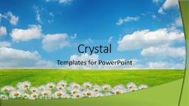  Presentation with beautiful spring flowers - Slide set enhanced with sunny daisy colour - beautiful spring field with flowers background and a light blue colored foreground