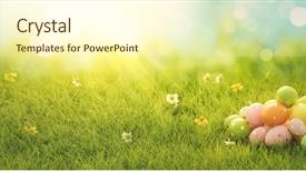  Presentation with meadow - Beautiful slides featuring sunny daisy colour - easter eggs on meadow grass backdrop and a  colored foreground