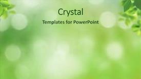  Presentation with chemistry leaves green leaf - Presentation theme with sunny daisy colour - spring background with green leaves background and a mint green colored foreground