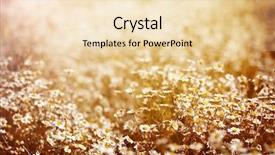  Presentation with nature art - Theme featuring sunny daisy glade - beautiful fresh chamomile meadow background and a lemonade colored foreground