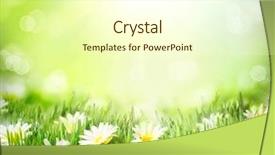  Presentation with spring nature grass - Colorful PPT layouts enhanced with sunny daisy glade - spring meadow with daisies grass backdrop and a cream colored foreground