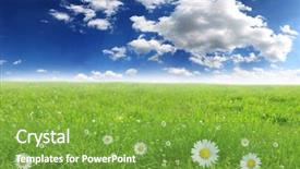  Presentation with sea life high resolution - Theme featuring sunny daisy medow - beautiful spring meadow high panorama background and a  colored foreground