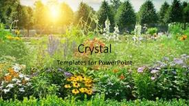  Presentation with sunrise - Slides featuring sunny day - multicolored flowerbed in park sunrise background and a yellow colored foreground