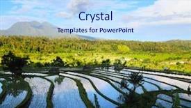  Presentation with rice fields - Theme consisting of sunny day bali indonesia background and a light blue colored foreground