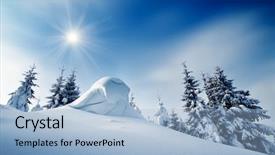  Presentation with winter forest - Colorful slide set enhanced with sunny day in a mountain backdrop and a light blue colored foreground