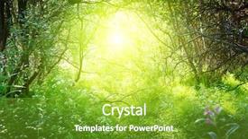  Presentation with mystic - Theme consisting of sunny day in deep forest background and a shamrock green colored foreground
