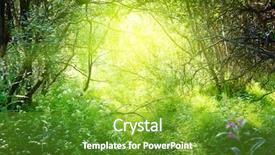  Presentation with mystic - Theme consisting of sunny day in deep forest background and a tawny brown colored foreground