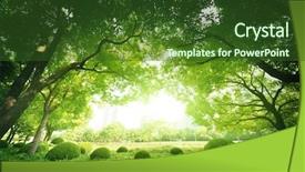  Presentation with summer - Slides featuring sunny day in summer park background and a tawny brown colored foreground