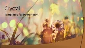  Presentation with meadow - Theme consisting of sunny day in the meadow background and a lemonade colored foreground