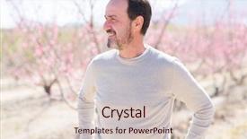  Presentation with pine trees sun shining through - Slide deck having trees garden with pink petal background and a lemonade colored foreground