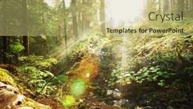  Presentation with olympic - Presentation theme with sunny forest in olympic park usa background and a yellow colored foreground