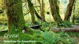  Presentation with olympic - Theme enhanced with sunny forest in olympic park usa background and a tawny brown colored foreground