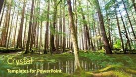  Presentation with olympic - Beautiful slide deck featuring sunny forest in olympic park usa backdrop and a tawny brown colored foreground