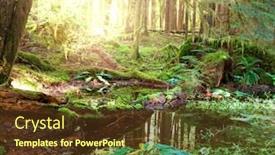  Presentation with olympic - Audience pleasing slides consisting of sunny forest in olympic park usa backdrop and a tawny brown colored foreground