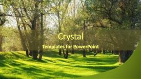  Presentation with green shadow - Beautiful presentation featuring sunny-green-forest-with-shadow backdrop and a tawny brown colored foreground