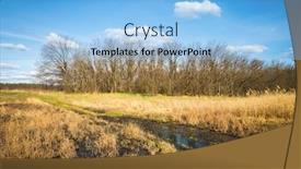  Presentation with meadow - Cool new slides with sunny-landscape-with-flooded-path backdrop and a light blue colored foreground