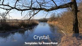  Presentation with tree river - Theme having sunny-landscape-with-leafless-tree background and a ocean colored foreground