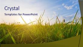  Presentation with merger sunset - Theme with sunny meadow - sunset and grass background and a  colored foreground