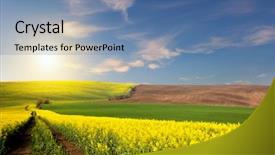  Presentation with road yellow - Cool new slide set with sunny meadow - yellow green brown fields backdrop and a teal colored foreground