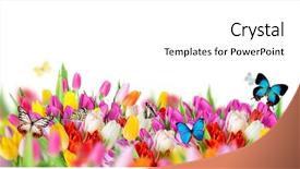  Presentation with tulips - Beautiful slide deck featuring sunny medow colour butterfly - beautiful bouquet of colorful tulips backdrop and a white colored foreground