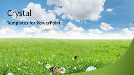  Presentation with meadow - Colorful theme enhanced with sunny medow colour butterfly - beautiful spring meadow high panorama backdrop and a light blue colored foreground