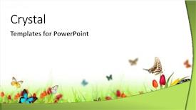  Presentation with meadow - Colorful slide deck enhanced with sunny medow colour butterfly - beautiful spring meadow with butterflies backdrop and a  colored foreground