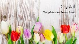  Presentation with old wooden table food - Audience pleasing presentation design consisting of sunny medow colour butterfly - beautiful tulips background on wooden backdrop and a lemonade colored foreground