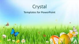  Presentation with meadow - Presentation design enhanced with sunny medow colour butterfly - fresh spring meadow with easter background and a sky blue colored foreground