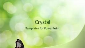  Presentation with focus - Cool new slide deck with sunny medow colour butterfly - natural green background with selective backdrop and a soft green colored foreground