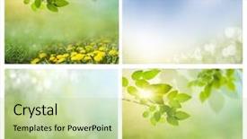  Presentation with spring photo album - Cool new presentation design with sunny medow colour butterfly - set of photos of spring backdrop and a mint green colored foreground