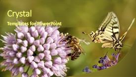  Presentation with meadow - Amazing PPT layouts having sunny medow colour butterfly - spring meadow backdrop and a tawny brown colored foreground