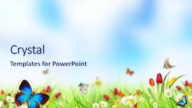  Presentation with meadow - Cool new presentation theme with sunny medow colour butterfly - spring meadow backdrop and a sky blue colored foreground