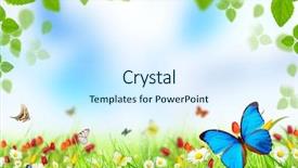  Presentation with purple rustic spring - PPT theme consisting of sunny medow colour butterfly - spring meadow background and a cool aqua colored foreground