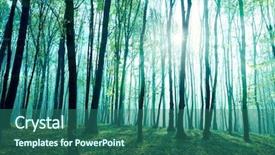  Presentation with foggy forest - Slide deck having sunny morning in summer forest background and a ocean colored foreground