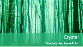  Presentation with foggy forest - PPT layouts enhanced with sunny morning in summer forest background and a ocean colored foreground