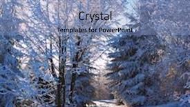  Presentation with tale - Amazing PPT theme having sunny morning of christmas in a snowy forest the winter's tale backdrop and a light blue colored foreground