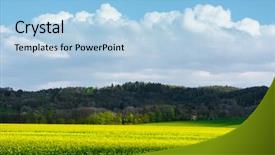  Presentation with sunny sky - PPT theme featuring sunny rural summer landscape background and a light blue colored foreground