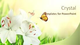  Presentation with lily flower - PPT theme featuring sunny-spring-background-with-butterfly background and a cream colored foreground