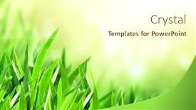  Presentation with grass - Theme having sunny-spring-background-with-green background and a cream colored foreground