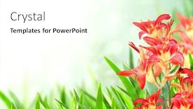  Presentation with red banner - Slide deck with sunny-spring-background-with-red background and a white colored foreground