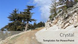  Presentation with spring - Amazing PPT theme having sunny-spring-landscape-with-rut backdrop and a soft green colored foreground