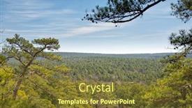  Presentation with forest cave - Slides featuring sunny-view-across-pine-forest background and a tawny brown colored foreground