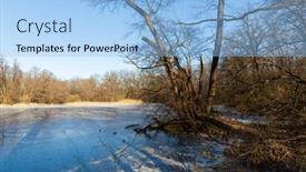  Presentation with winter forest - Slides with sunny-winter-day-on-frozen background and a light blue colored foreground