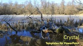  Presentation with winter landscape winter tree - Presentation theme enhanced with sunny-winter-landscape-with-dead background and a tawny brown colored foreground